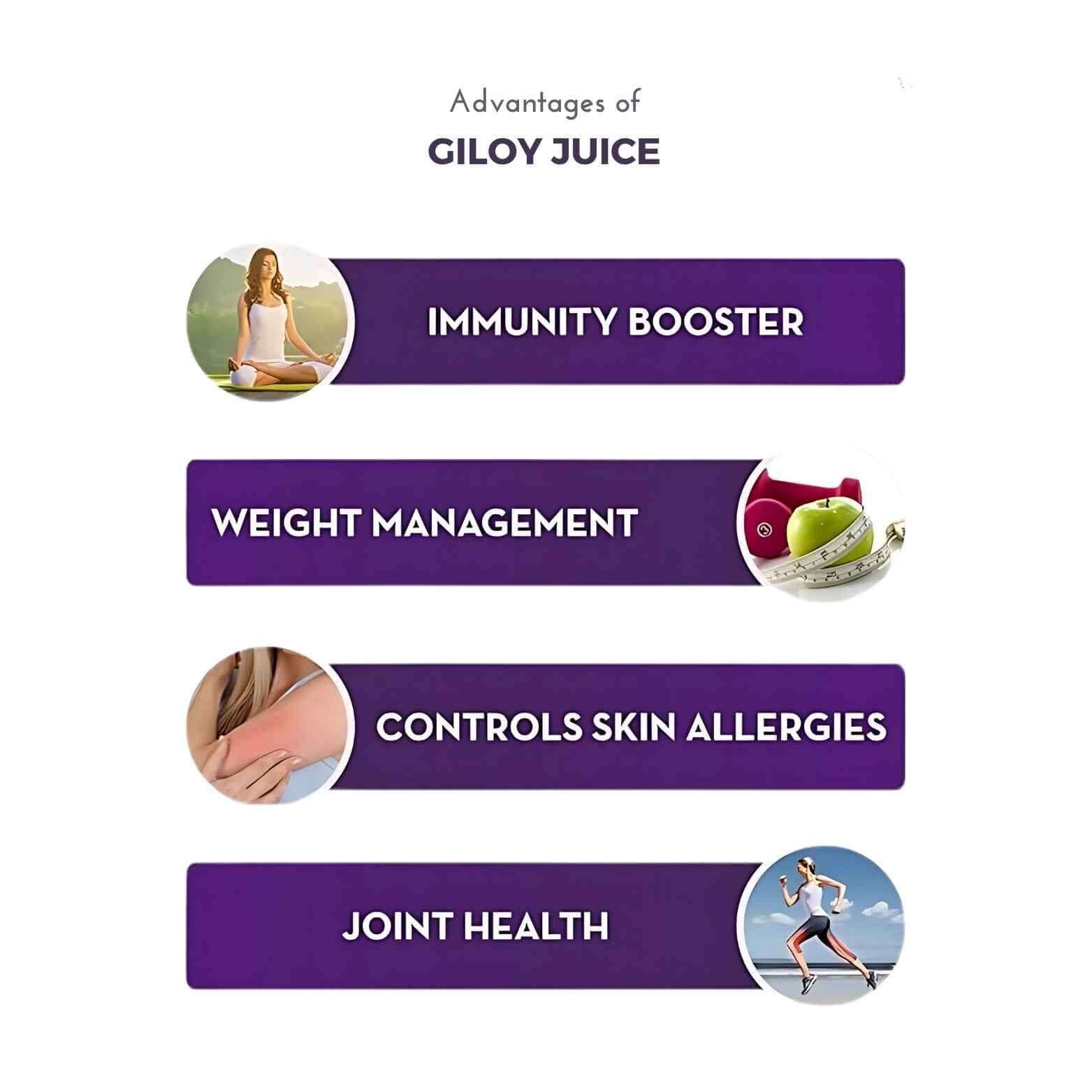 Giloy Neem Karela Jamun Juice – Immunity Booster – VedicFlex